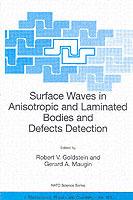 Surface Waves in Anisotropic and Laminated Bodies and Defects Detection - cover