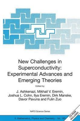 New Challenges in Superconductivity: Experimental Advances and Emerging Theories: Proceedings of the NATO Advanced Research Workshop, held in Miami, Florida, 11-14 January 2004 - cover