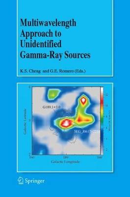 Multiwavelength Approach to Unidentified Gamma-Ray Sources: A Second Workshop on the Nature of the High-Energy Unidentified Sources - cover