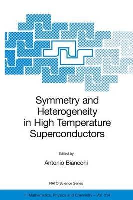 Symmetry and Heterogeneity in High Temperature Superconductors - cover
