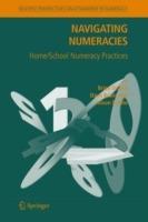 Navigating Numeracies: Home/School Numeracy Practices - Brian V. Street,Dave Baker,Alison Tomlin - cover