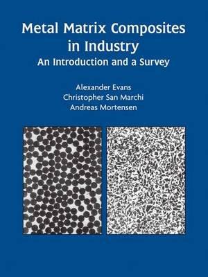 Metal Matrix Composites in Industry: An Introduction and a Survey - Alexander Evans,Christopher San Marchi,Andreas Mortensen - cover
