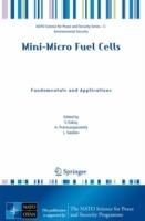 Mini-Micro Fuel Cells: Fundamentals and Applications