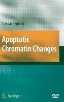 Apoptotic Chromatin Changes