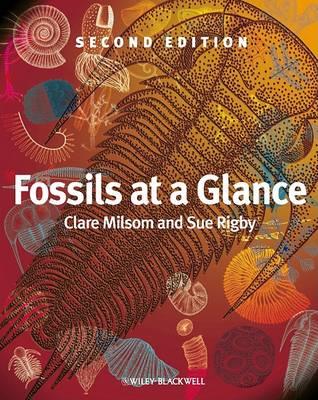 Fossils at a Glance - Clare Milsom,Sue Rigby - cover