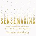 Sensemaking