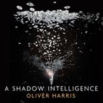 A Shadow Intelligence