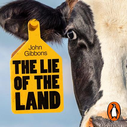 The Lie of the Land