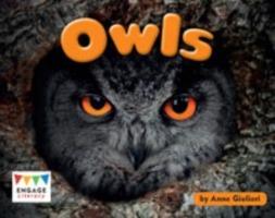 Owls - Anne Giulieri - cover