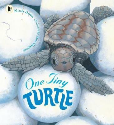 One Tiny Turtle - Nicola Davies - cover