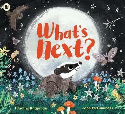 What's Next?: A tender father-and-son adventure for 3-7 year olds to share with Dad on Father's Day - Timothy Knapman - cover