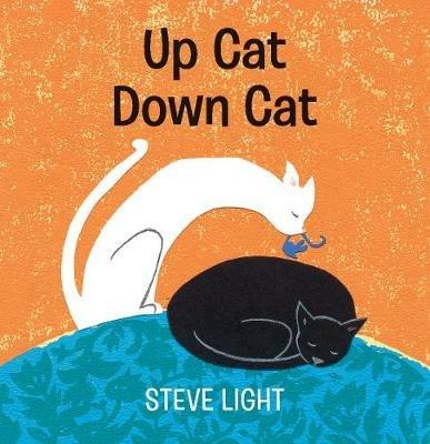 Up Cat Down Cat - Steve Light - cover