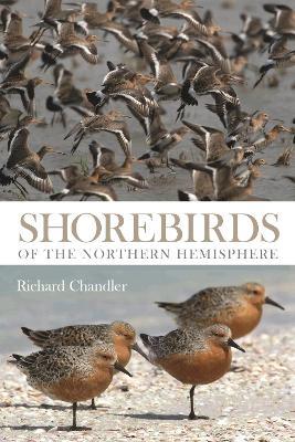 Shorebirds of the Northern Hemisphere - Richard Chandler - cover