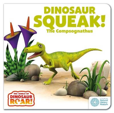The World of Dinosaur Roar!: Dinosaur Squeak! The Compsognathus: Book 10 - Peter Curtis - cover
