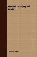 Mendel: A Story Of Youth