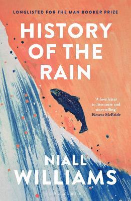 History of the Rain: By the author of Four Letters of Love, now a major film starring Helena Bonham Carter and Pierce Brosnan - Niall Williams - cover