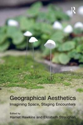 Geographical Aesthetics: Imagining Space, Staging Encounters - Elizabeth Straughan - cover