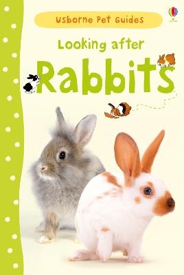 Looking after Rabbits - Fiona Patchett - cover