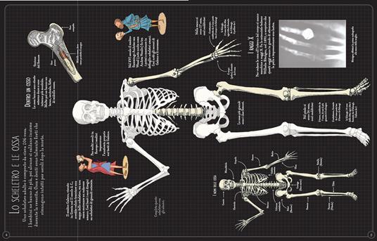 Il corpo umano. Con adesivi. Ediz. illustrata - Alex Frith,Ian McNee,Adam Larkum - 2