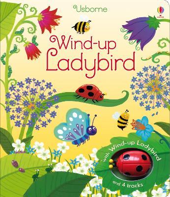 Wind-up Ladybird - Fiona Watt - cover