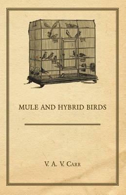 Mule And Hybrid Birds - V. A. V. Carr - cover
