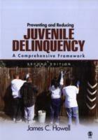 Preventing and Reducing Juvenile Delinquency: A Comprehensive Framework - James C. Howell - cover