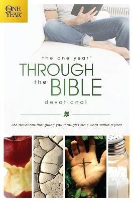 One Year Through the Bible Devotional - David R. Veerman - cover