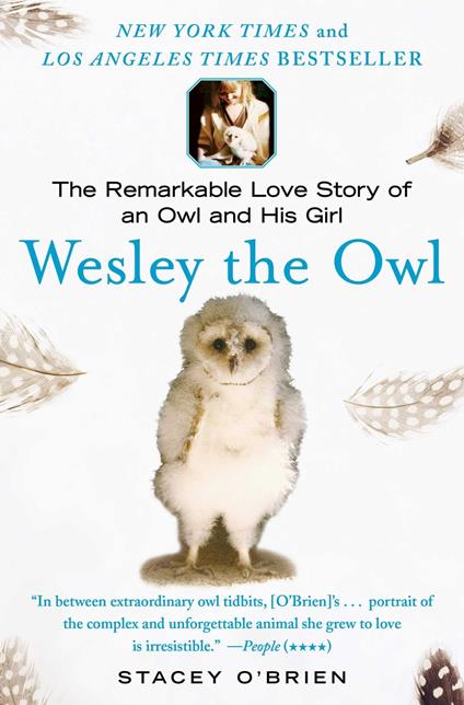 Wesley the Owl
