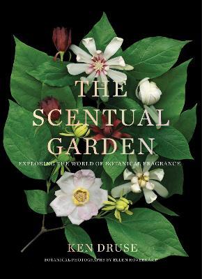 The Scentual Garden: Exploring the World of Botanical Fragrance - Ken Druse - cover