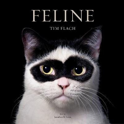 Feline: Photographs - Tim Flach - cover