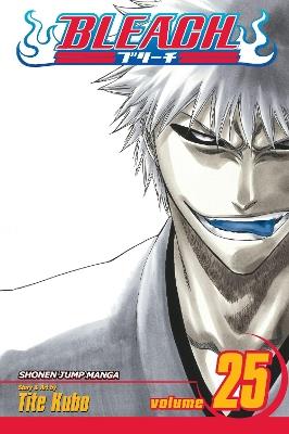 Bleach, Vol. 25 - Tite Kubo - cover