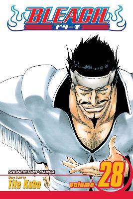 Bleach, Vol. 28 - Tite Kubo - cover