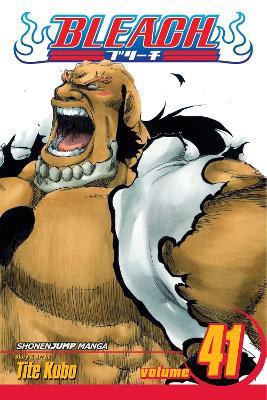 Bleach, Vol. 41 - Tite Kubo - cover