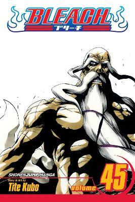 Bleach, Vol. 45 - Tite Kubo - cover