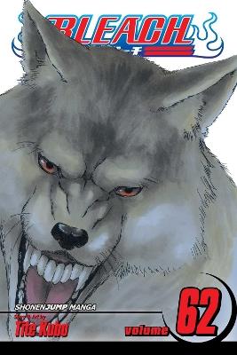 Bleach, Vol. 62 - Tite Kubo - cover