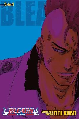 Bleach (3-in-1 Edition), Vol. 23: Includes vols. 67, 68 & 69 - Tite Kubo - cover
