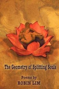 The Geometry of Splitting Souls - Robin Lim - cover