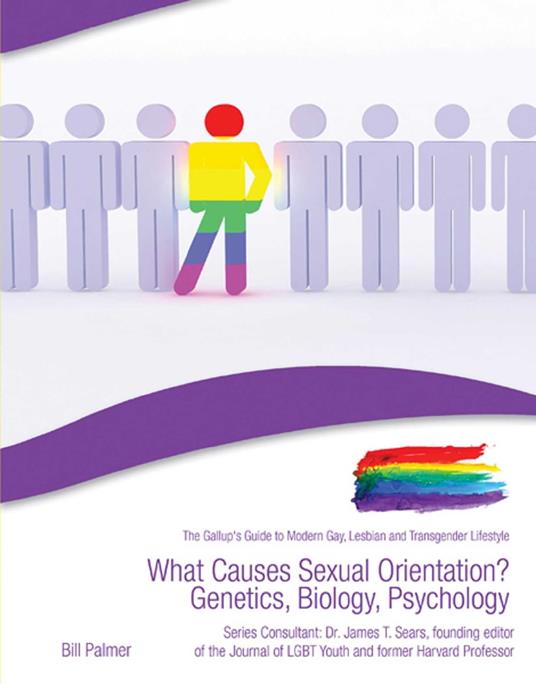 What Causes Sexual Orientation? Genetics, Biology, Psychology - Bill Palmer - ebook