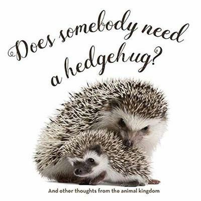 Does Somebody Need a Hedgehug? - Smith Gibbs - cover