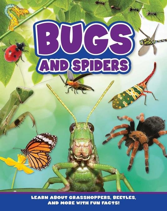 Bugs and Spiders - Flying Frog Publishing - ebook