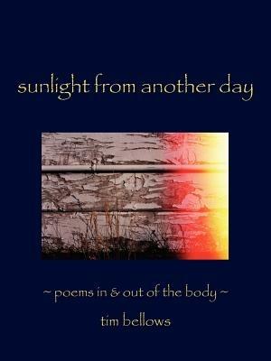Sunlight From Another Day: Poems In and Out of the Body - Tim Bellows - cover