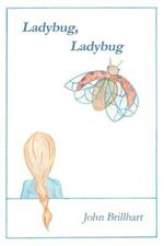 Ladybug, Ladybug: A Novel