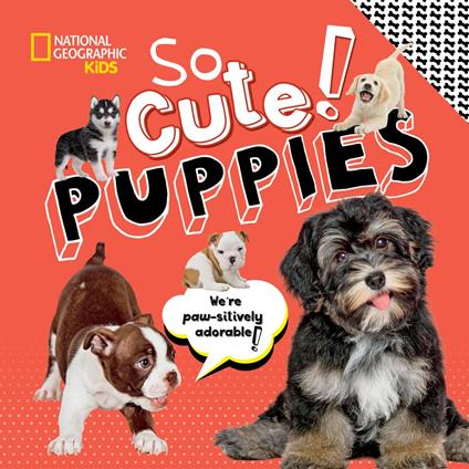 So Cute! Puppies - Crispin Boyer - ebook