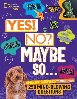 Yes! No? Maybe So...: Amazing Answers to More Than 250 Mind-Blowing Questions - Julie Beer,Paige Towler - cover