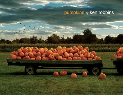 Pumpkins - Ken Robbins - ebook