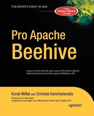 Pro Apache Beehive - Srinivas Kanchanavally,Kunal Mittal - cover