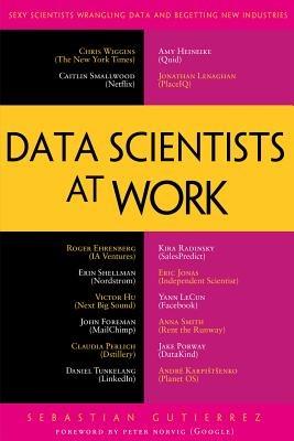 Data Scientists at Work - Sebastian Gutierrez - cover
