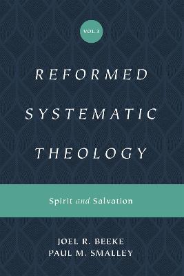 Reformed Systematic Theology, Volume 3: Spirit and Salvation - Joel Beeke,Paul M. Smalley - cover