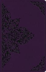 ESV Large Print Value Thinline Bible