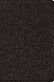 ESV Preaching Bible, Verse-by-Verse Edition